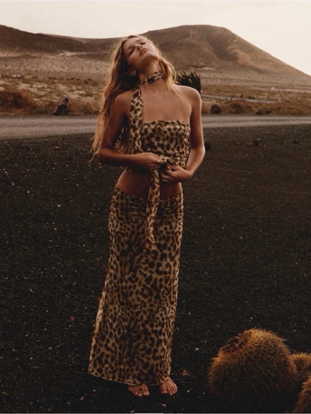 Zara Leopard Print Tulle Mesh 2 Piece Matching Set Maxi Skirt Top M